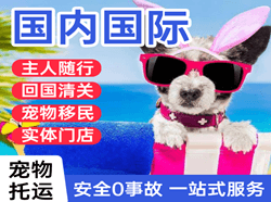 德宏芒市空运国际宠物托运 【国